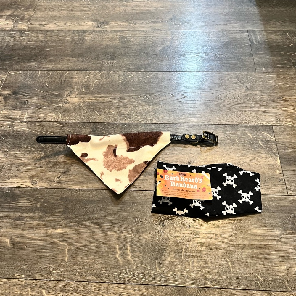 Dog Collar W/Bandanna and Bandanna NEW